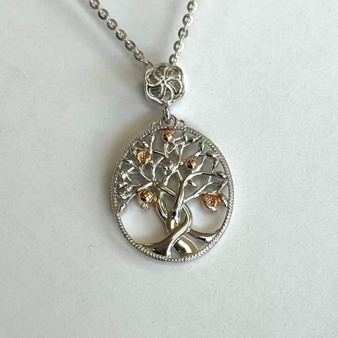 "Anushik" Pomegranate Small Tree #349