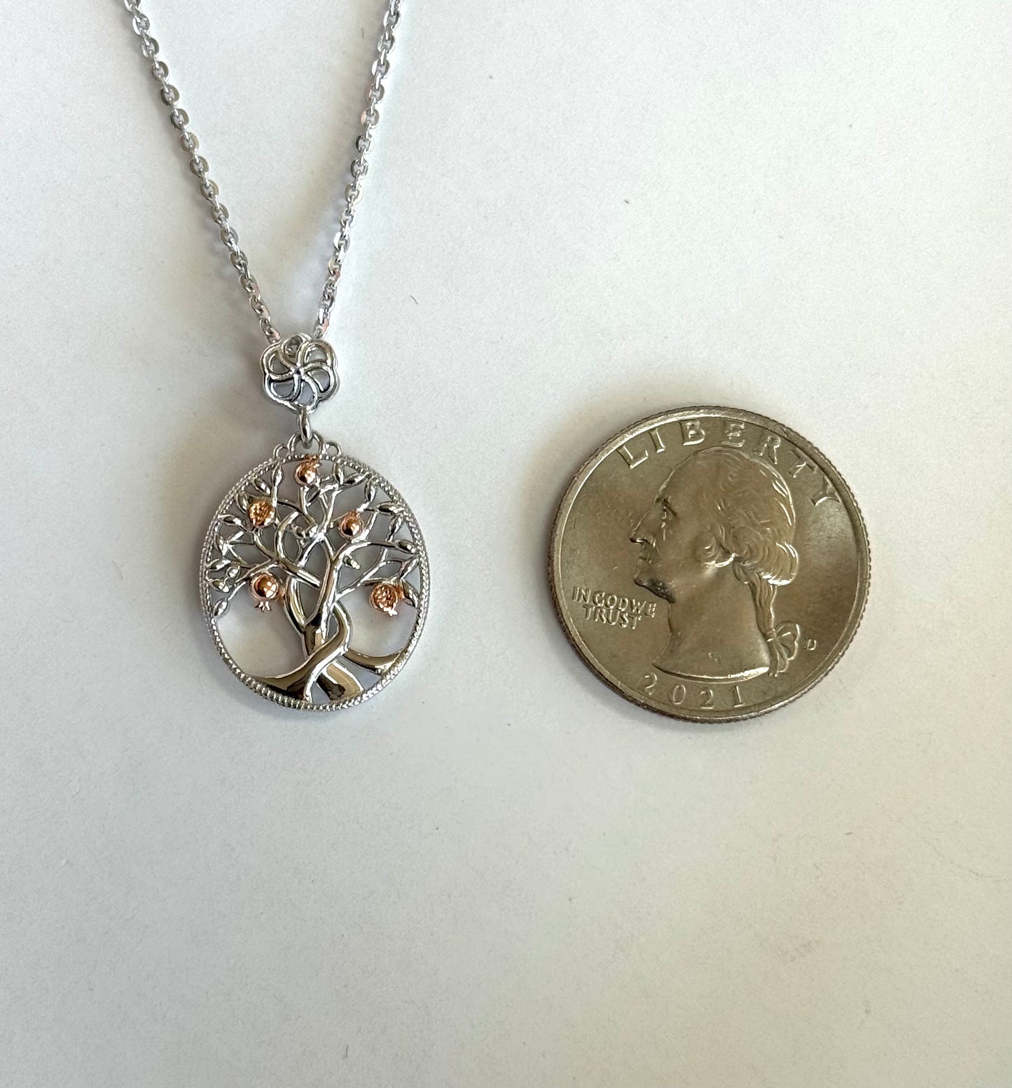 "Anushik" Pomegranate Small Tree #349